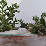 Casarao Al فندق مبيت وإفطار *