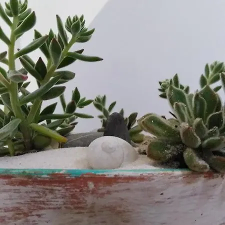 Casarao Al Bed & Breakfast *